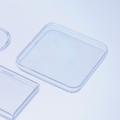 pt3 - 保吉生化學製作站