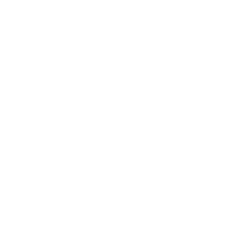 bg-logo-2 - 保吉生化學製作站